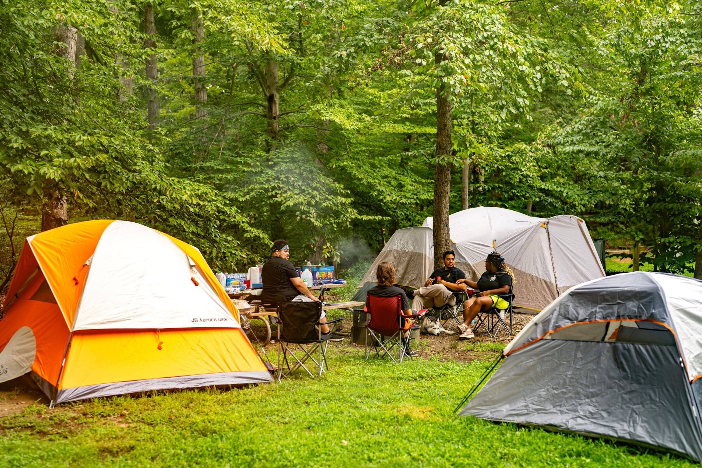 An outdoor podcast set up at a campsite among tents and trees